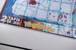 Kingdomino - Tapis de Jeu (02)
